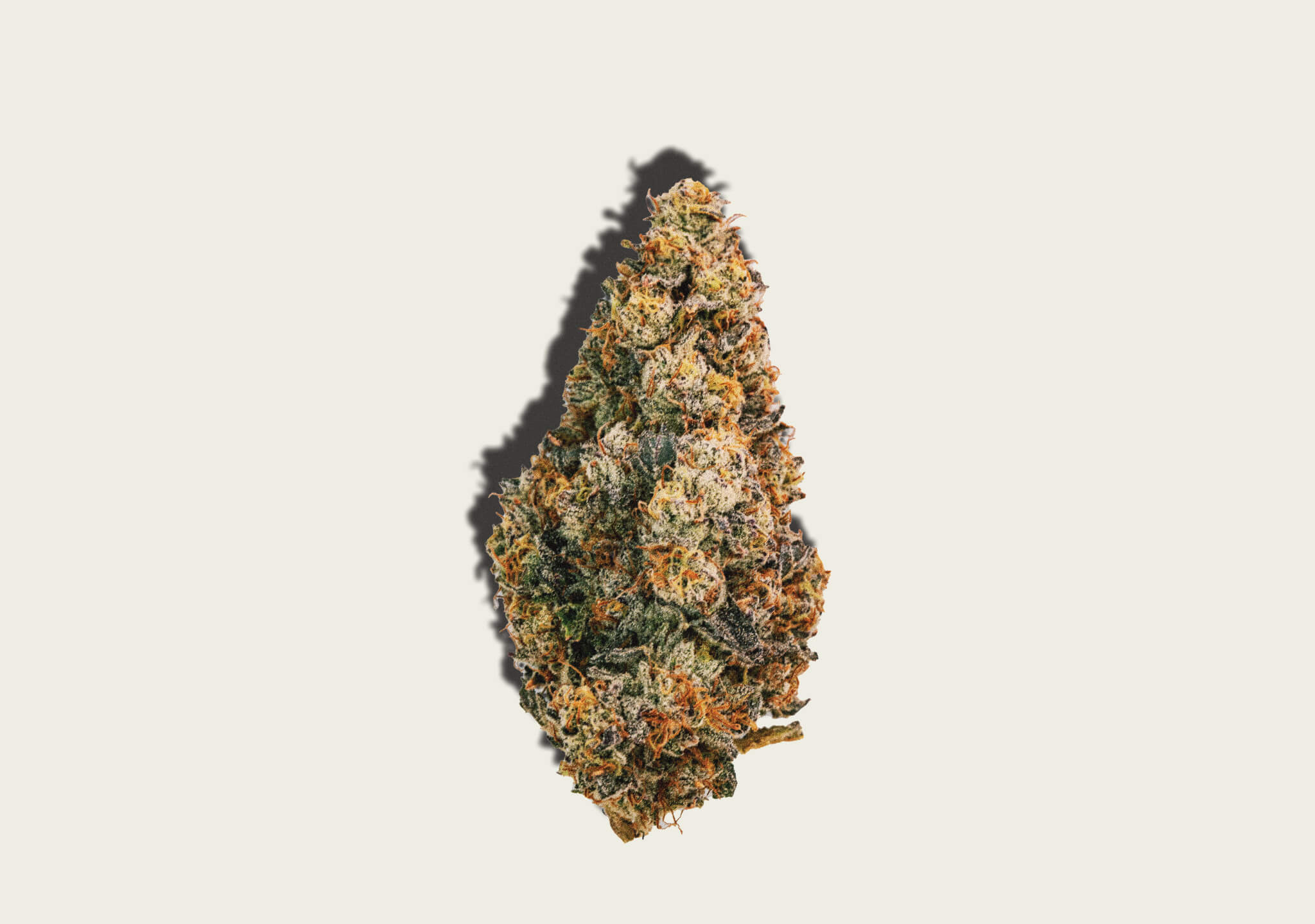 Photo of Gelato OG Kush